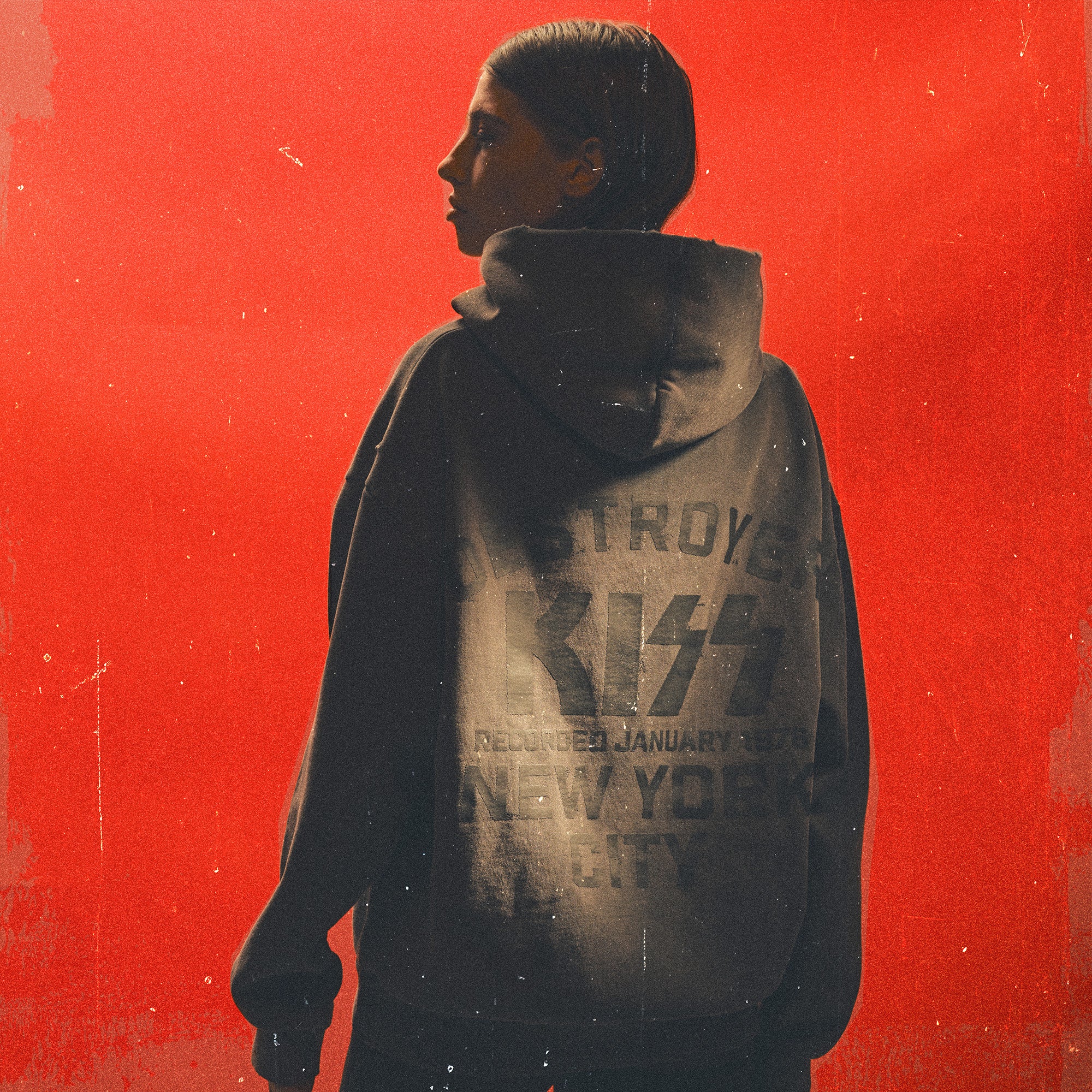 Destroyer Destroyed Hoodie - Image 9